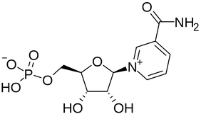 1280px-Nicotinamide_mononucleotide.svg.p